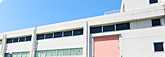 Company Information